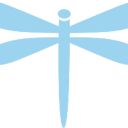 Dragonfly Logo