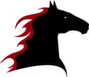 Insights Group South Logo