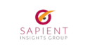 Insights Group Logo