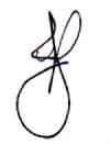 PKJ Consulting LLC Logo