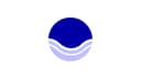 Disability Insights, LLC Logo