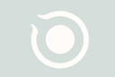 Ollipsis Fertility Logo