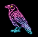 Crowchild Logo