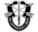 United States Army Special Forces (Green Beret) Logo
