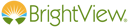 BrightView Health Logo