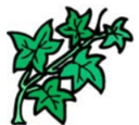 Ivy League Test Prep Logo