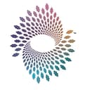 Co-Active Training Institute Logo