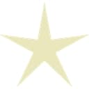NewStar Media Logo