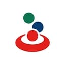 Banesco Banco Universal Logo