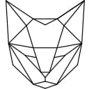 Paradox Cat Logo