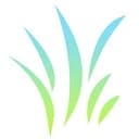Nexecon Consulting Group Logo
