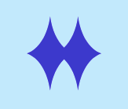 Nightingale Health Intelligence Logo