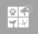 Endangered Activism Logo