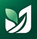 The Ivy Journey Logo