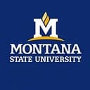 Montana State University - Bozeman Logo