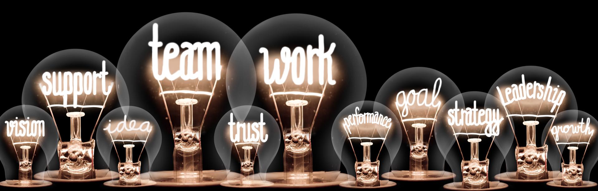 Career Development Accelerator (new leader, promotion)