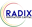 Radix Innovation Capital Logo