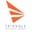 Triangle Insights Group Logo