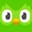 Duolingo Logo