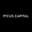 Picus Capital Logo