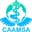 CAAMSA Logo