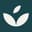 IvyWise Logo