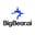 BigBear.ai Logo