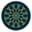 Dandelion Health Logo