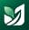 The Ivy Journey Logo