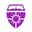 St. Thomas University Logo