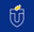 Touro University Logo