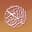 University of the Punjab Logo