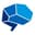  NeuroLeadership Institute Logo