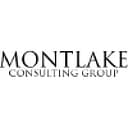 Montlake Consulting