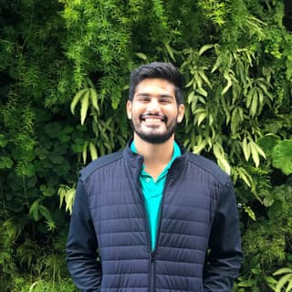 Alok S.