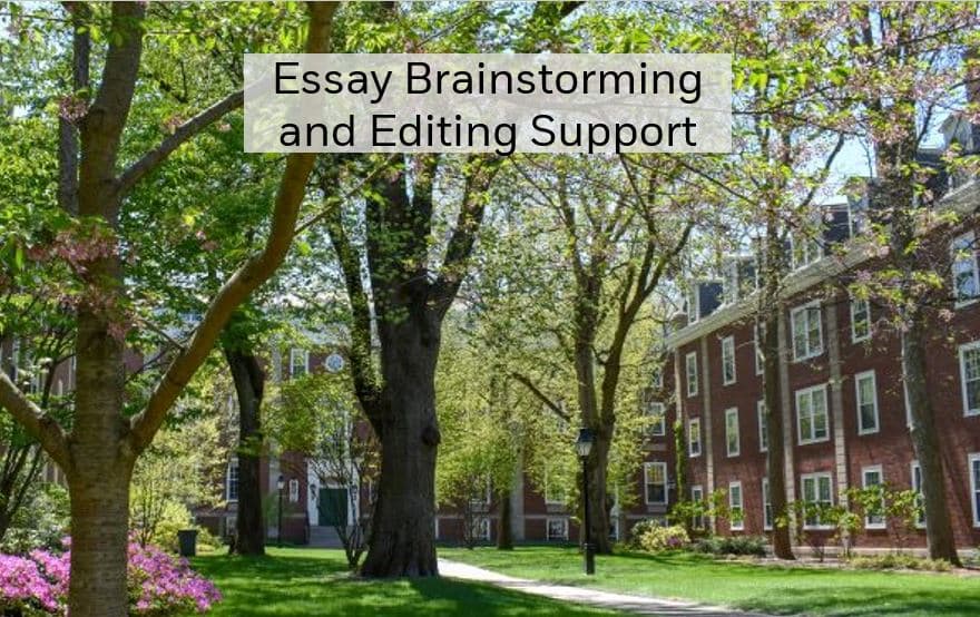 Essay writing package 