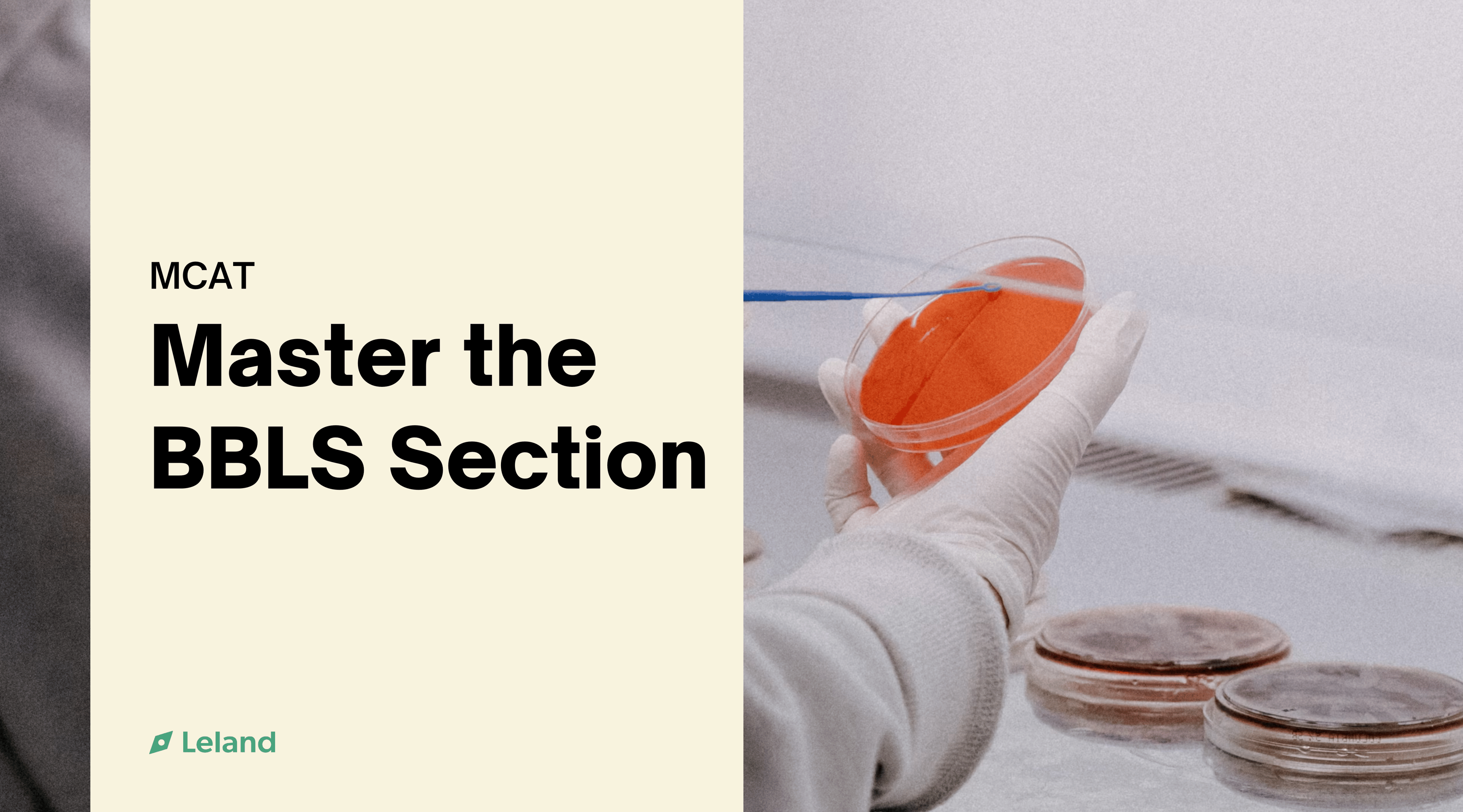 Master the BBLS Section