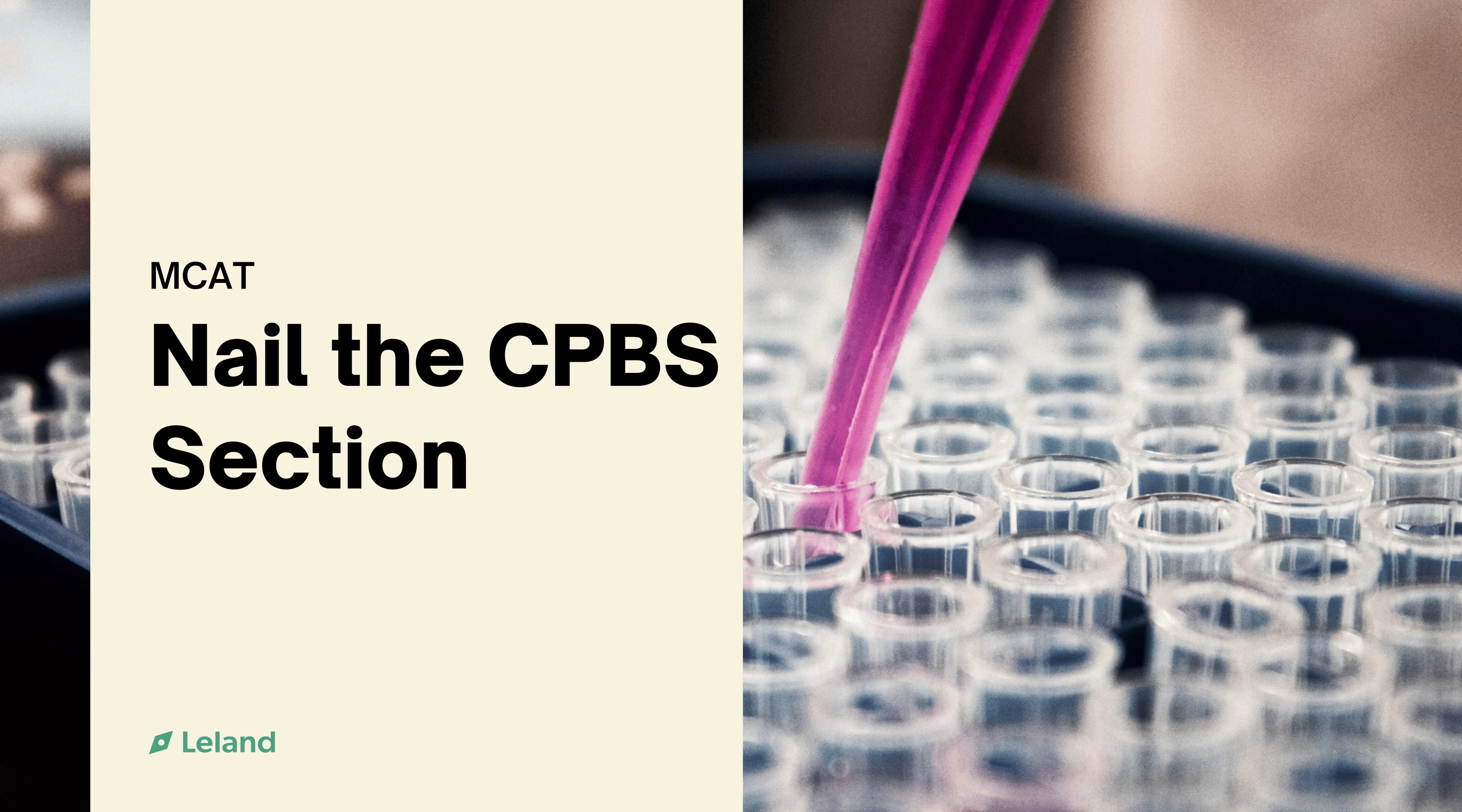 Nail the CPBS Section