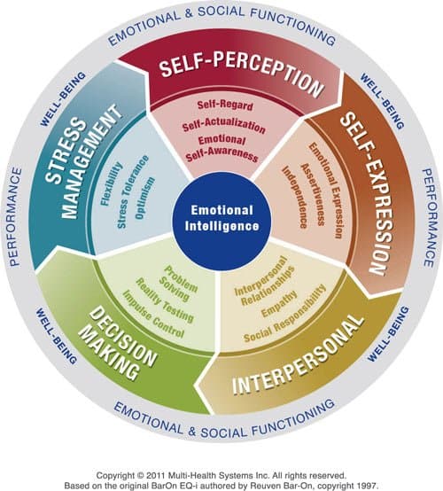 Managing Emotions Around Risk - Includes Emotional Intelligence Assessment 