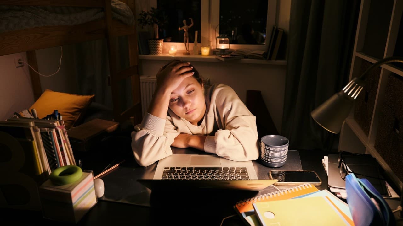 Don’t Panic |  Complete Package for Senior Year