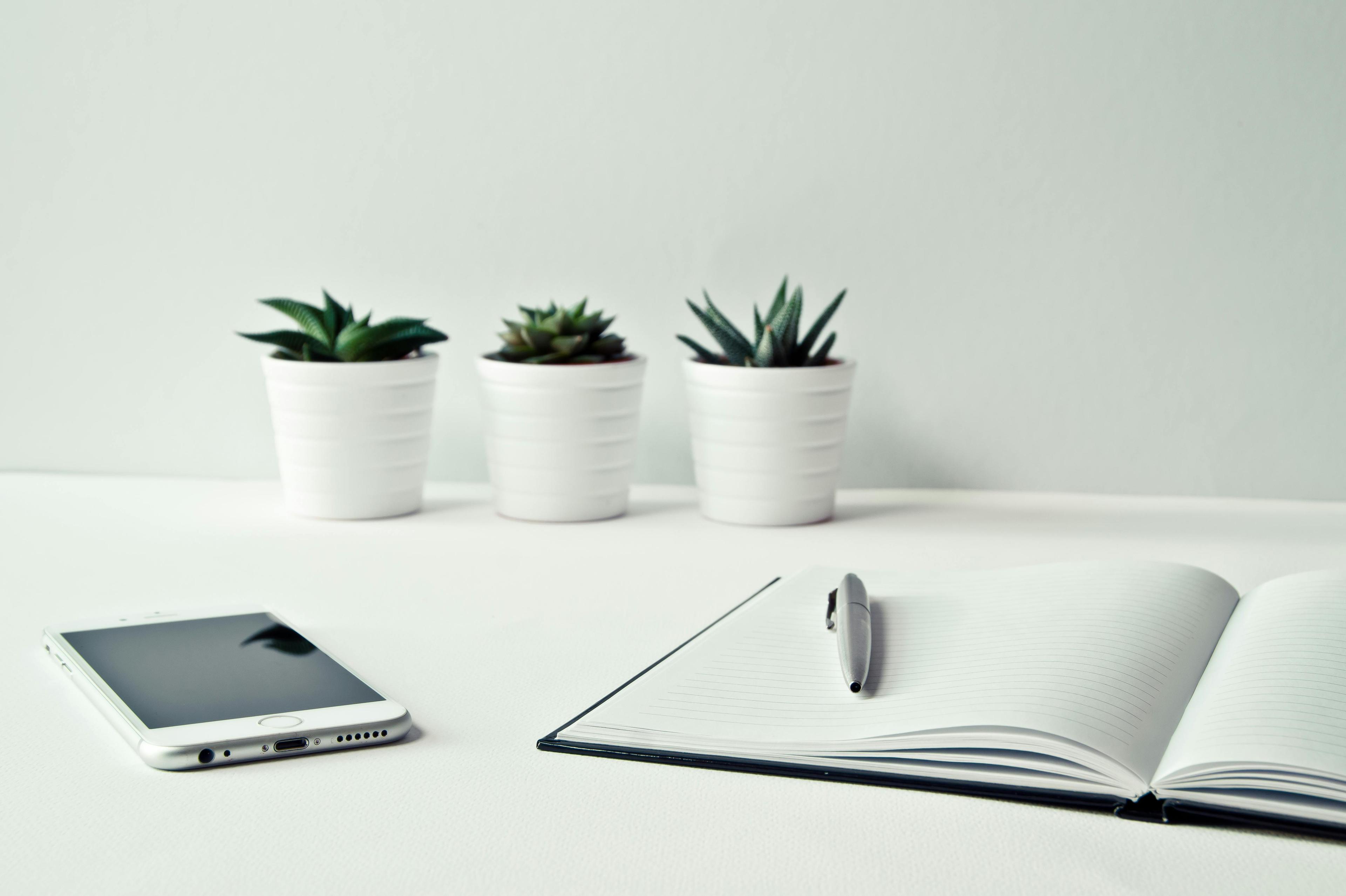 Resume and Cover Letter Review, along with Case Interview Prep