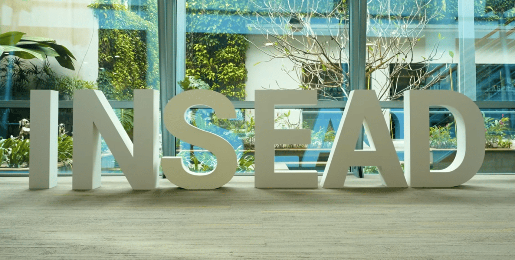 Ace Your INSEAD MBA Interview