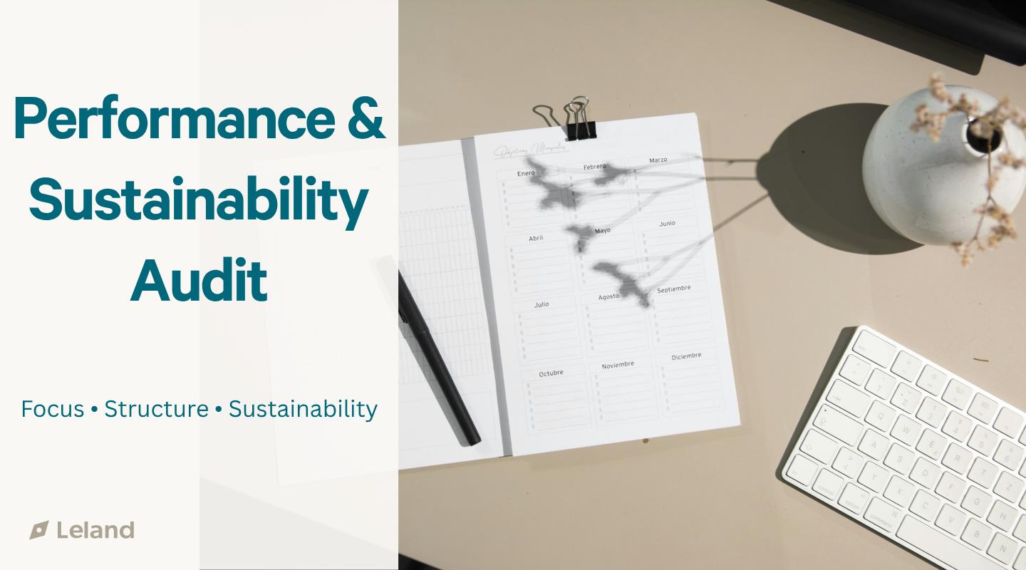 Performance & Sustainability Audit