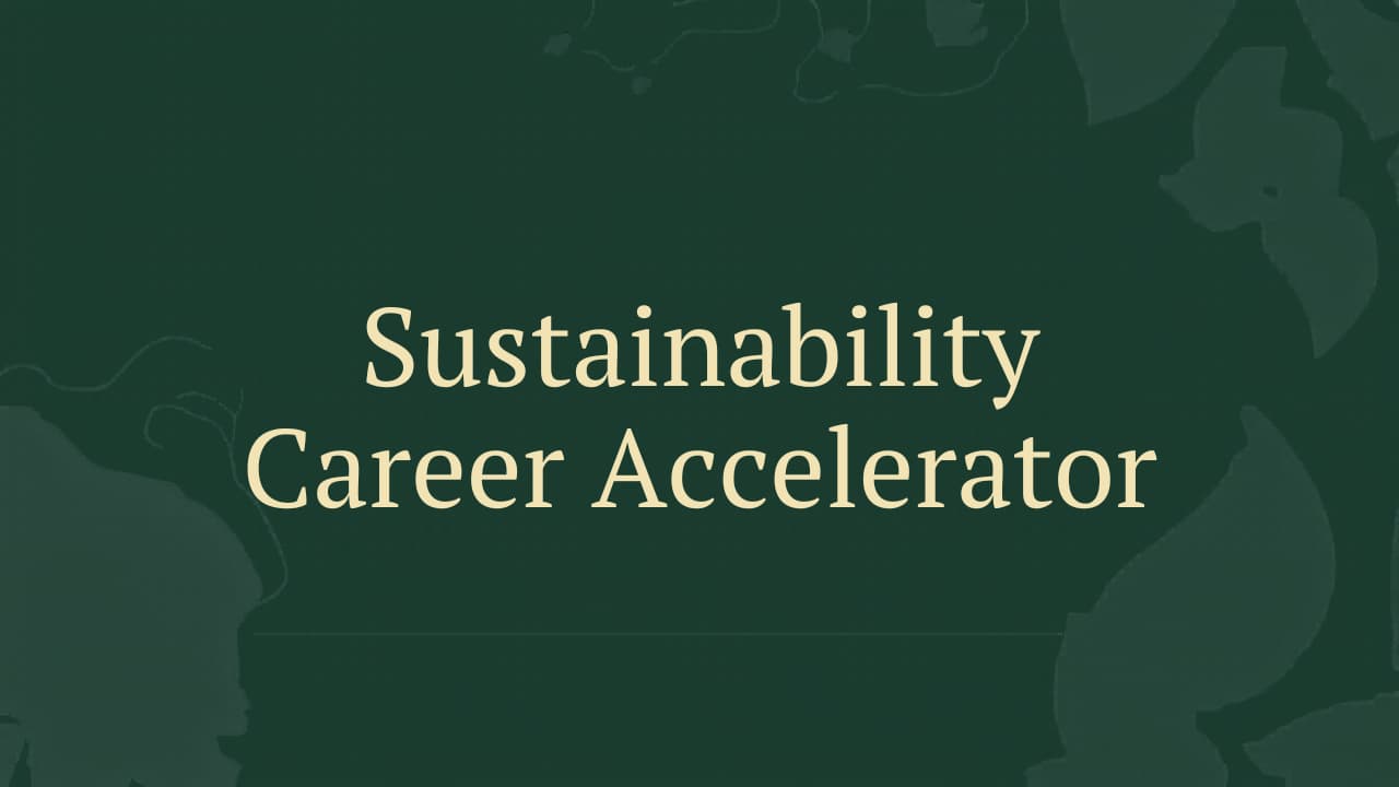 Sustainability Career Accelerator