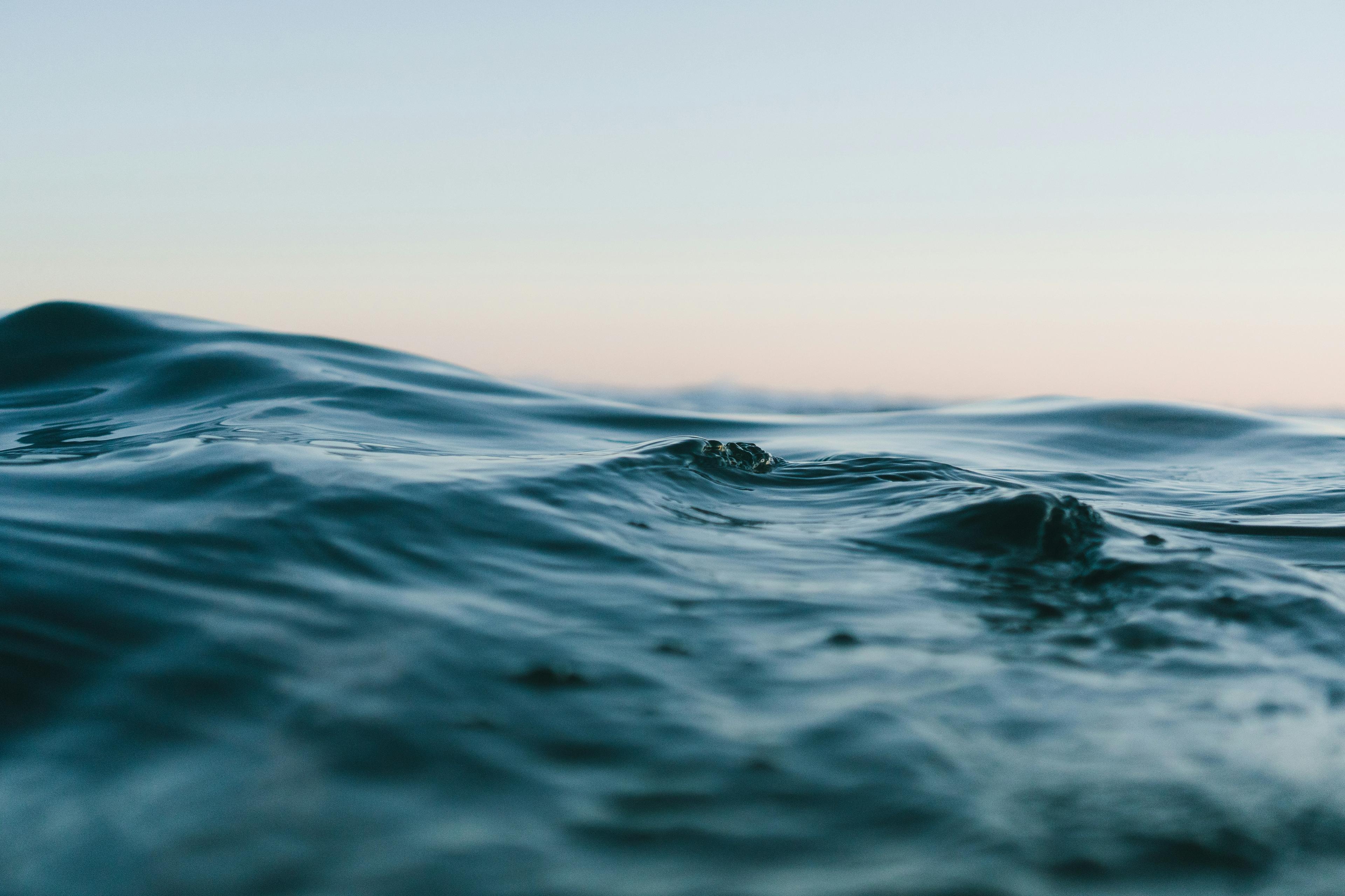 Navigate the Climate & Environmental Career Space
