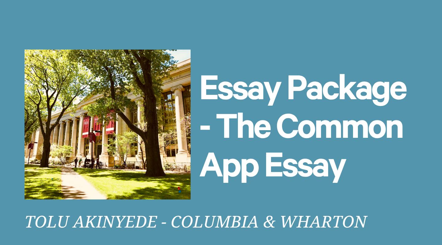 Get Into Your Dream College - The Common App Essay