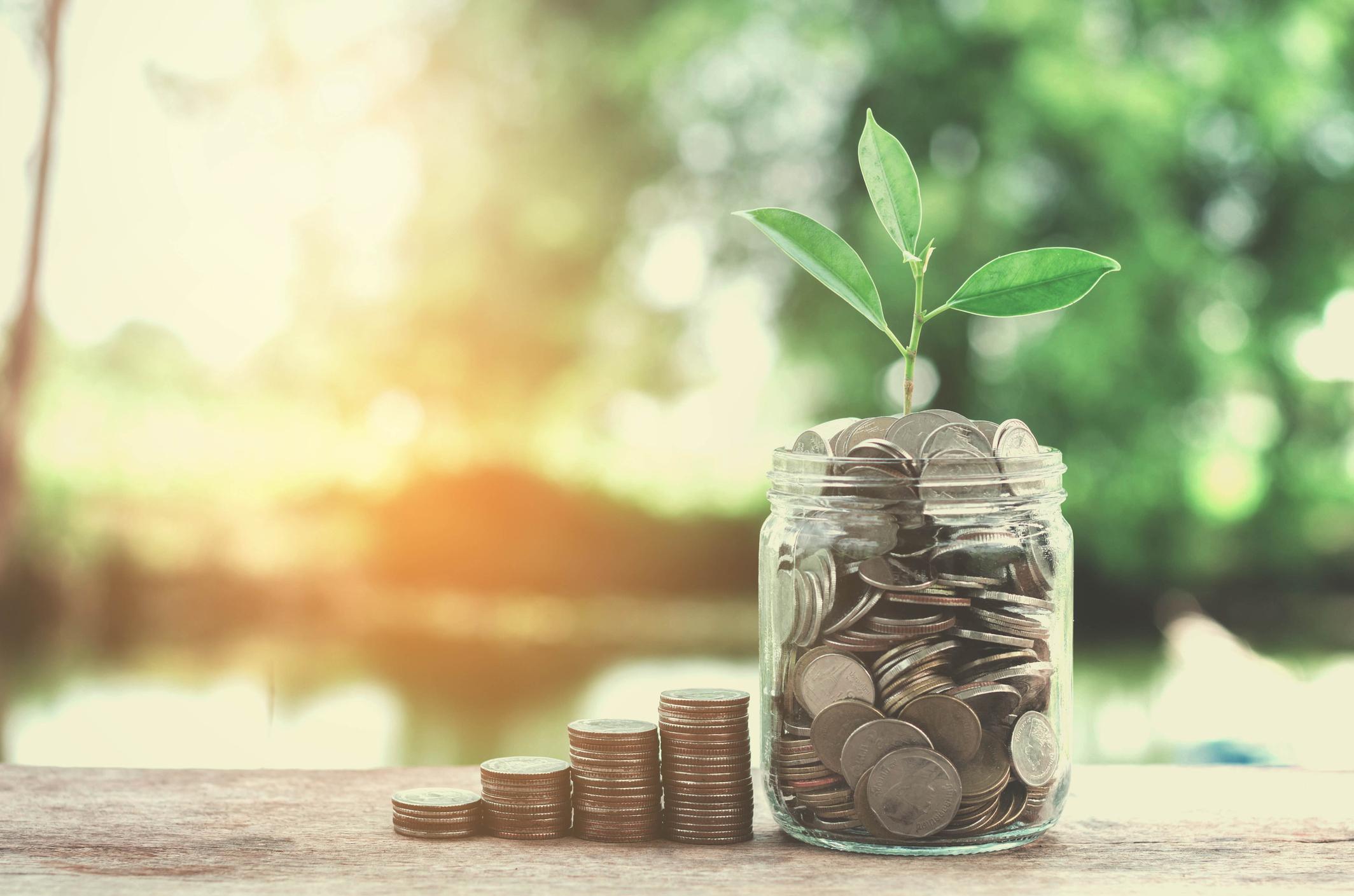 Financial Independence 101