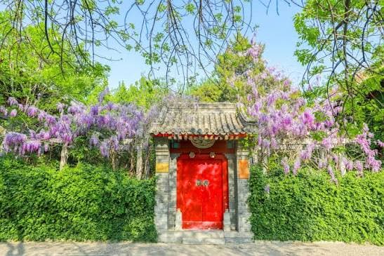 Applying to Yenching Academy