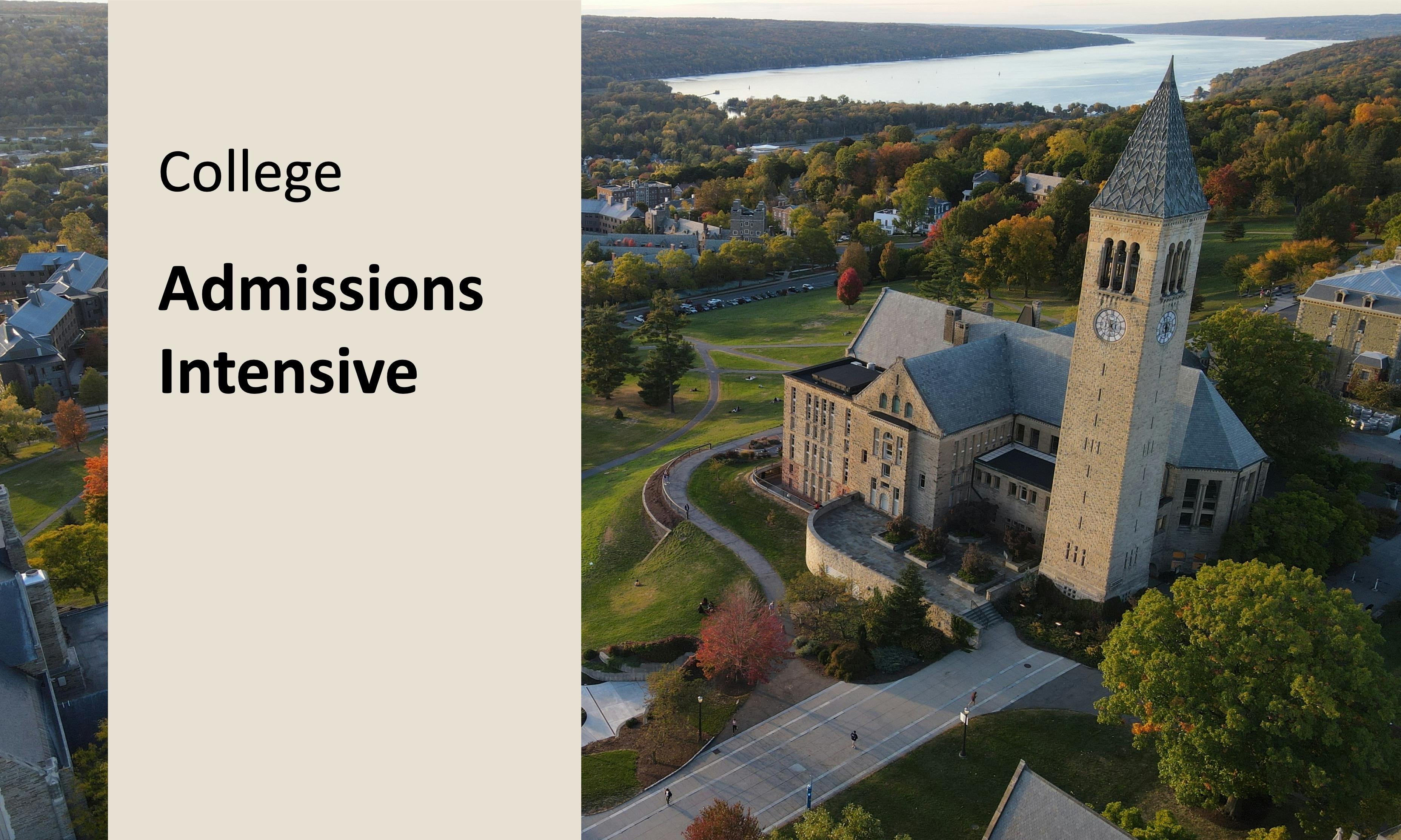 Admissions Intensive (College): 1 Live Session 