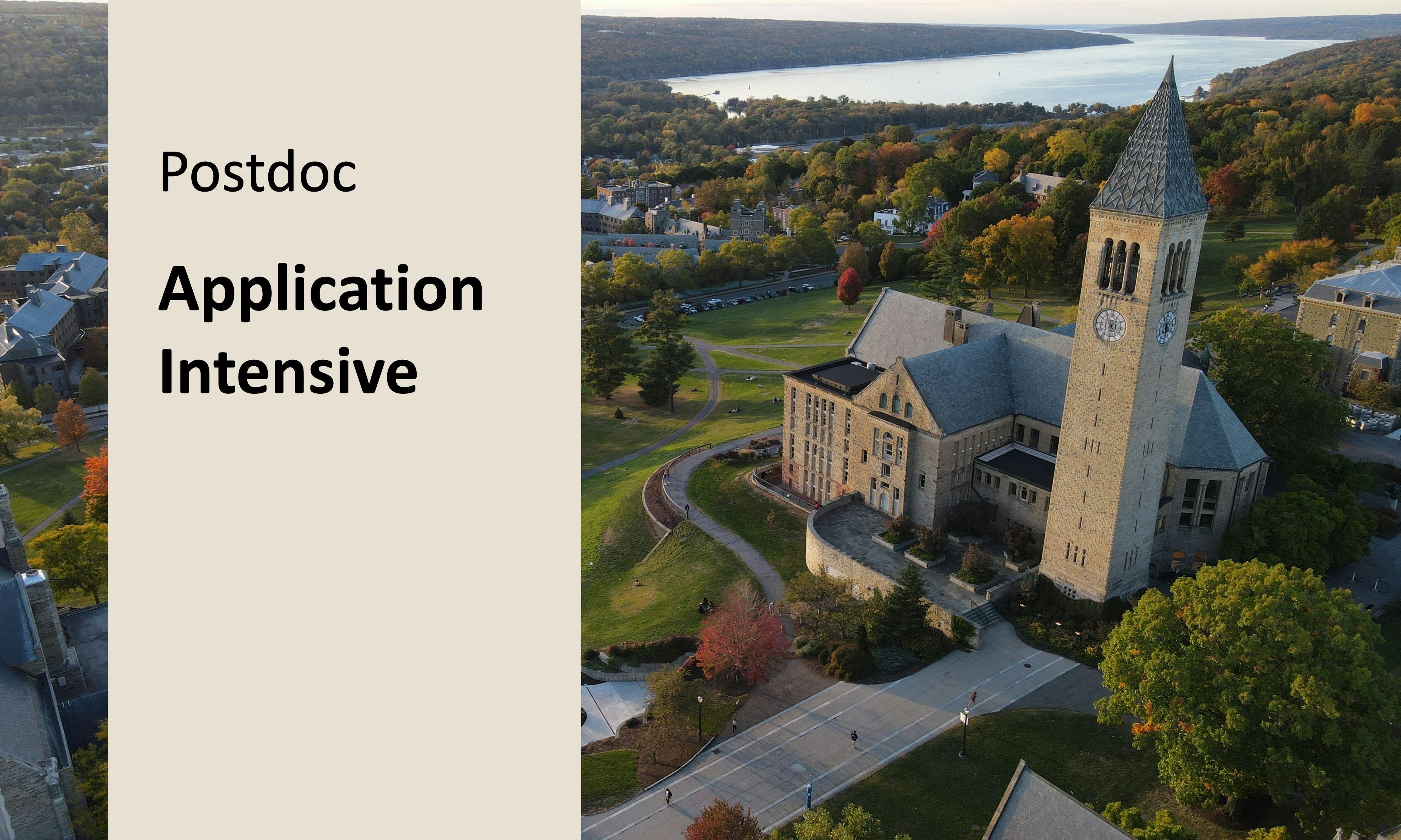 Application Intensive (Postdoc): 1 Live Session